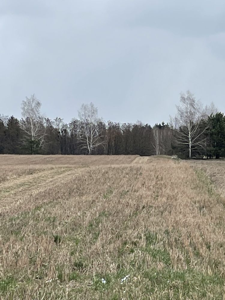 Продаж землі під забудову, 13га, ліс, село  Гараджа.