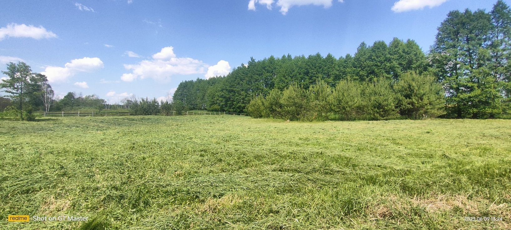 Usługi-Wycinka Drzew-Koszenie Trawy-Renowacje