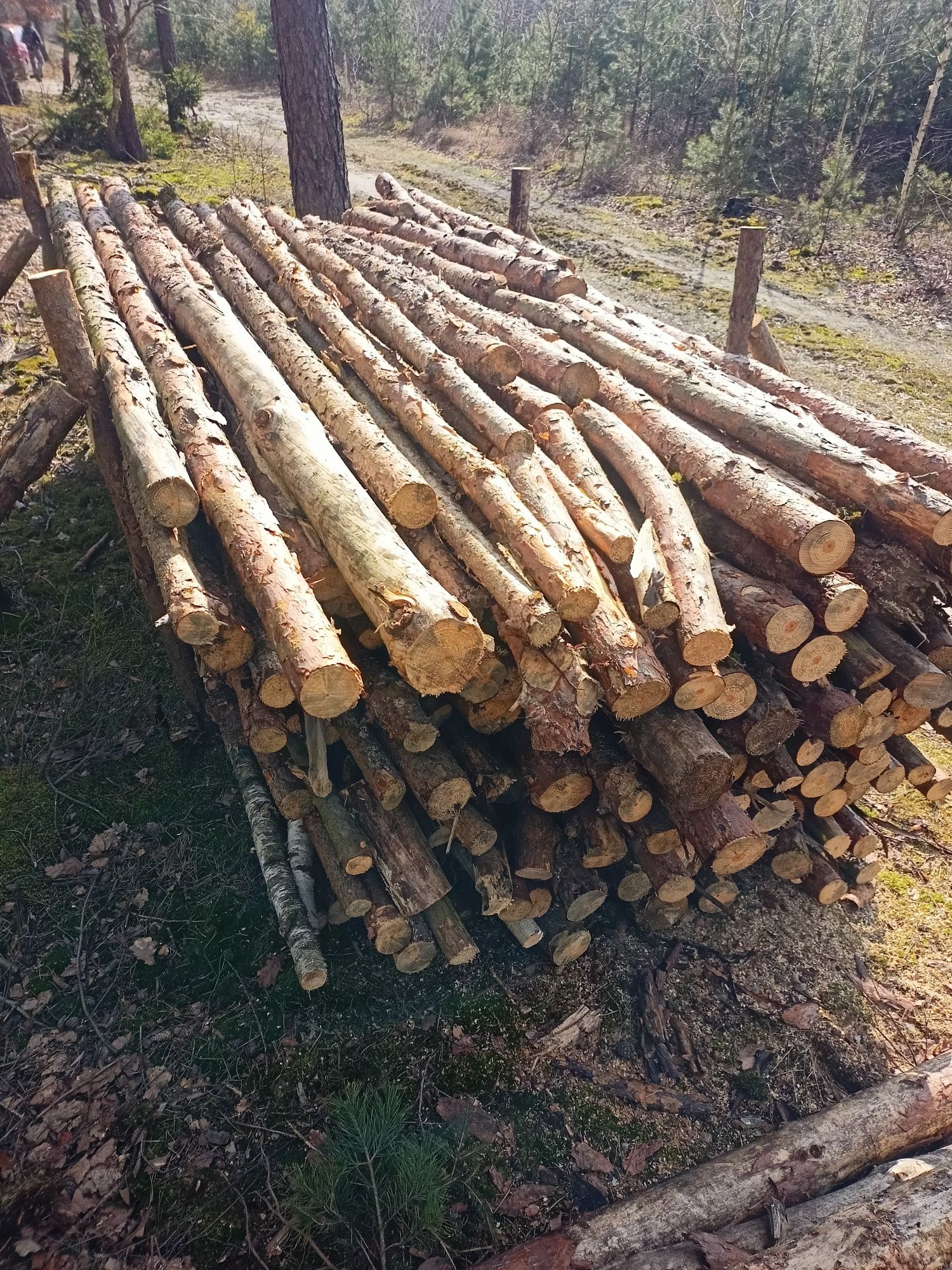 Sprzedam drewno opałowe SUCHE