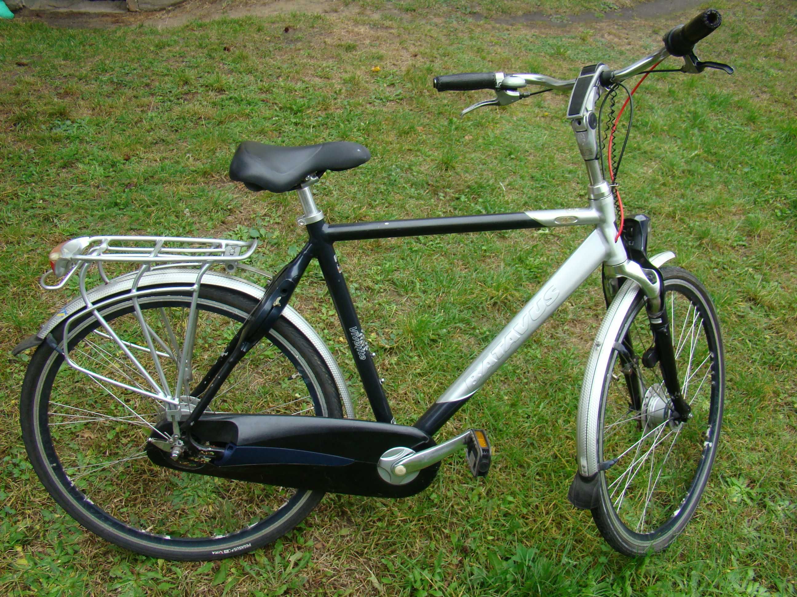 Rower   Batavus   Virente