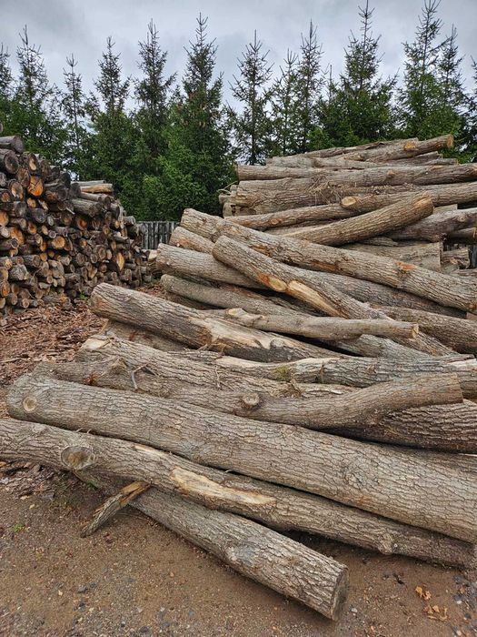 Drewno opałowe - dębina