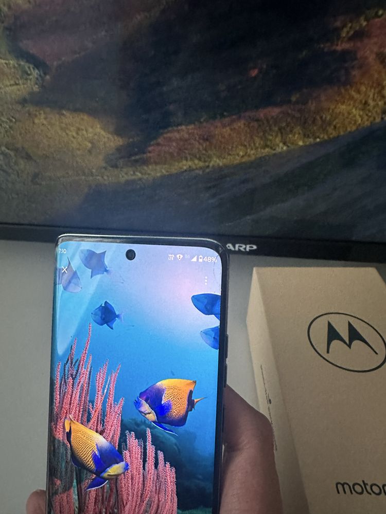 Motorola edge 40 neo mint