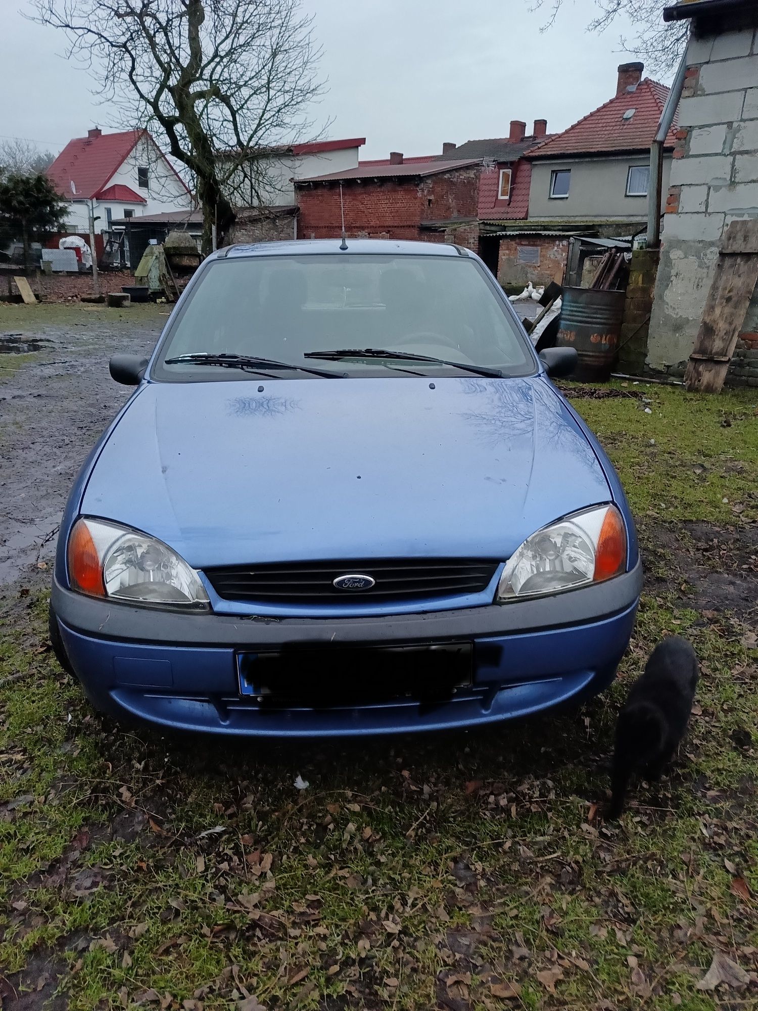 Ford Fiesta 2000r