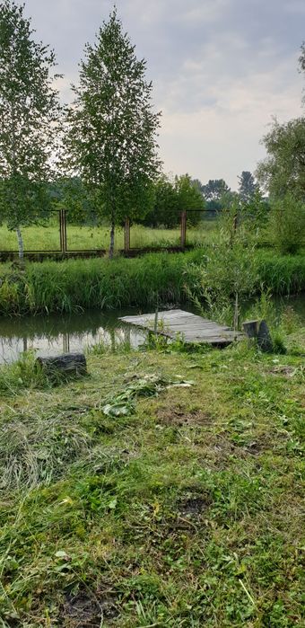 Будинок, літня кухня, 1 га землі з виходом до річки, с. Іванків