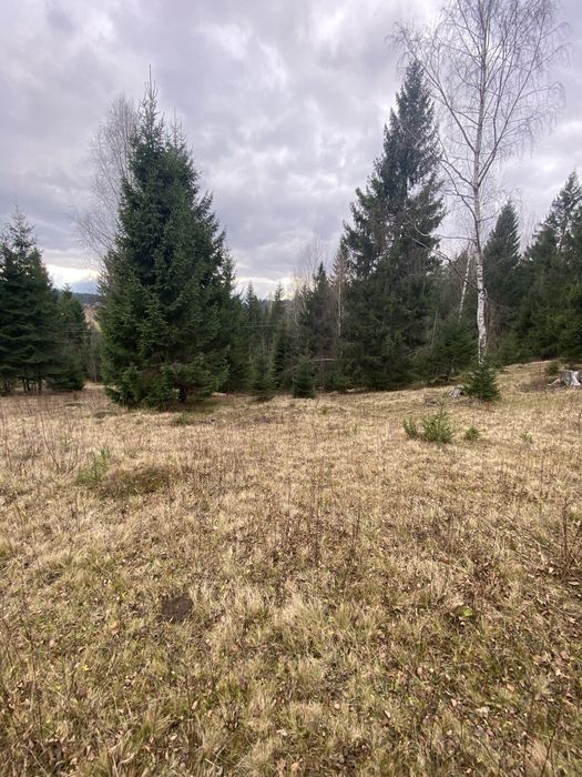 Ділянка з шикарним краєвидом. Яблуниця.