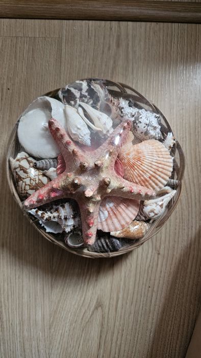 Muszle muszle muszle