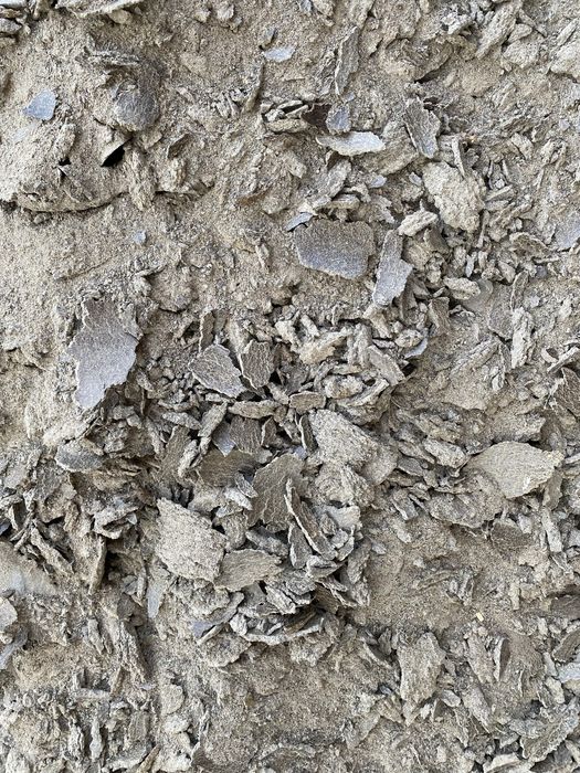 Макуха соняшникова смажена