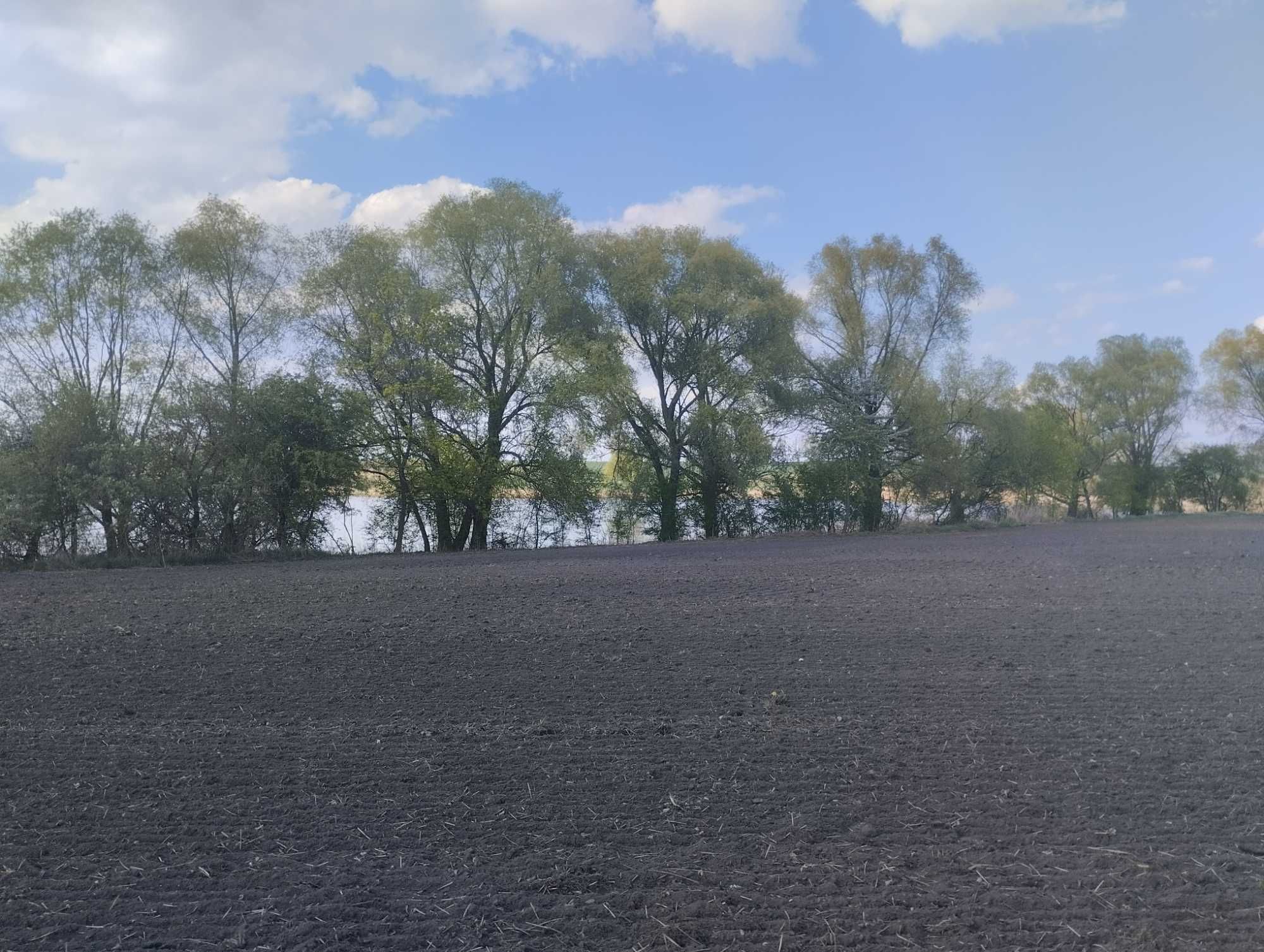 Działka z bezpośrednim dostępem do linii brzegowej jeziora Żernickiego