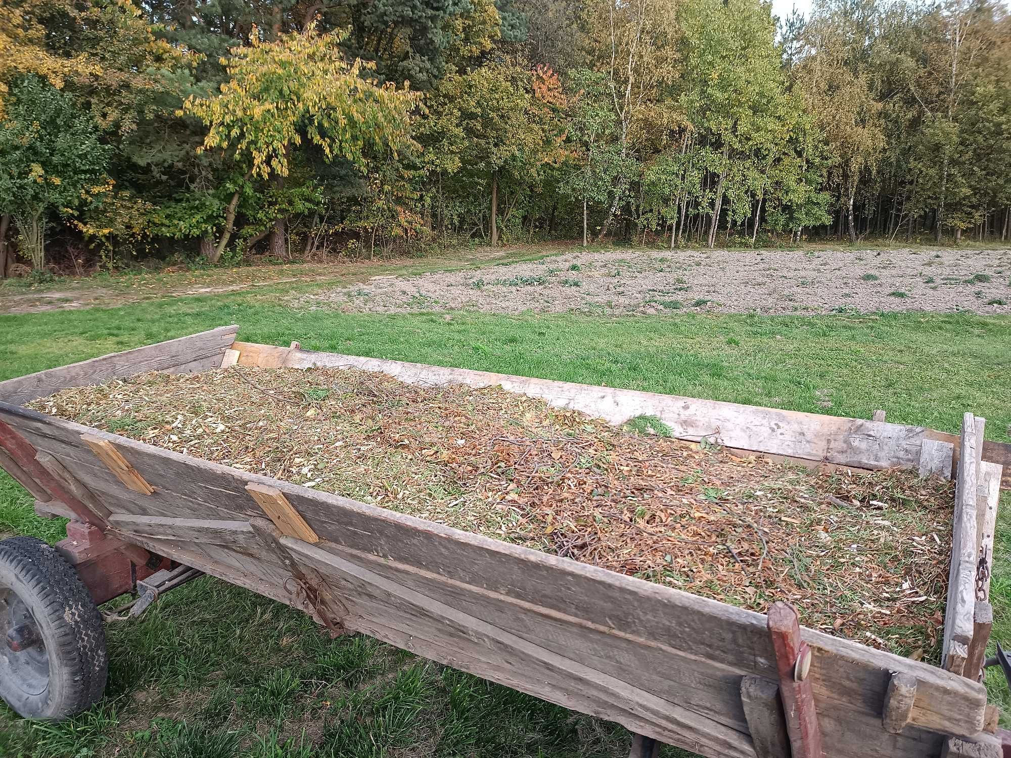 Zrębki na opał lub do ogrodu liściaste i iglaste