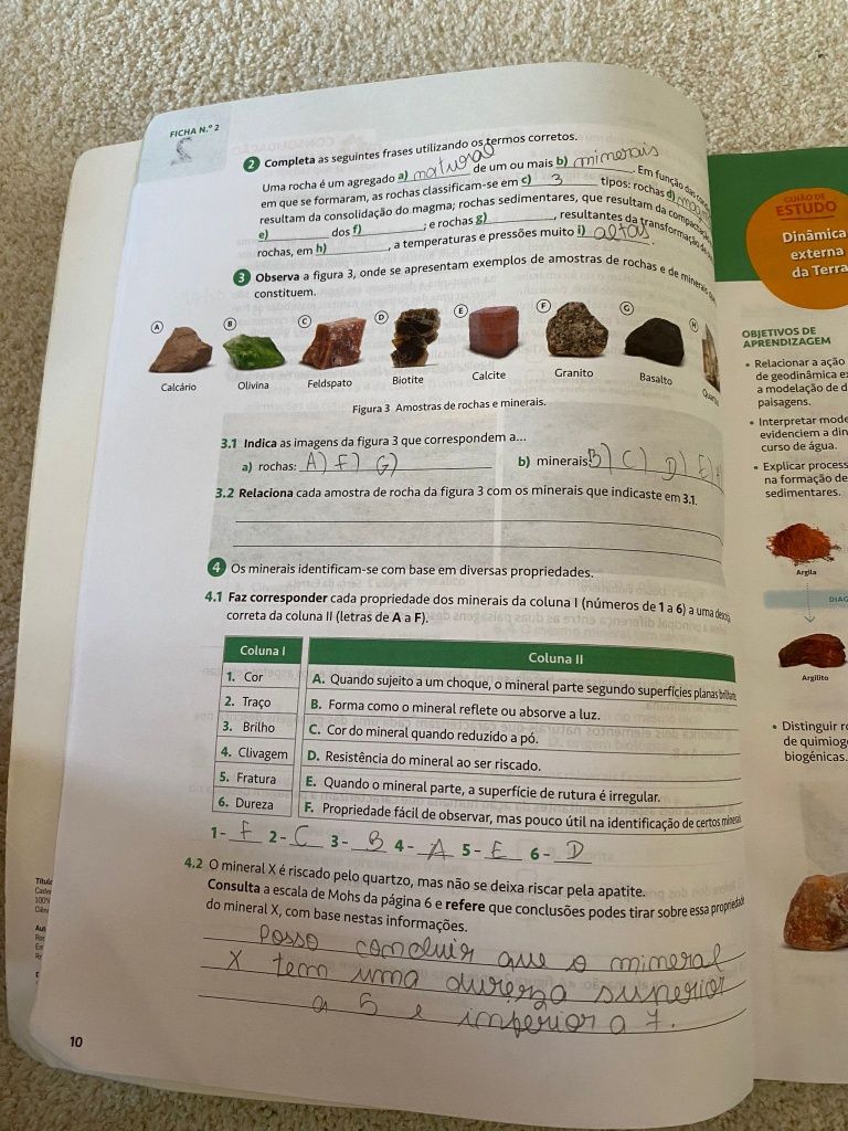 100% CN 7 - caderno atividades