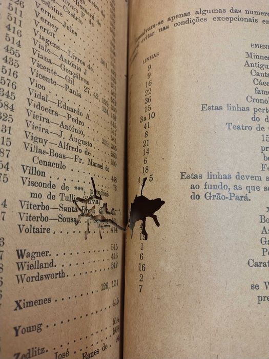 Para restauro: História da Literatura Portuguesa