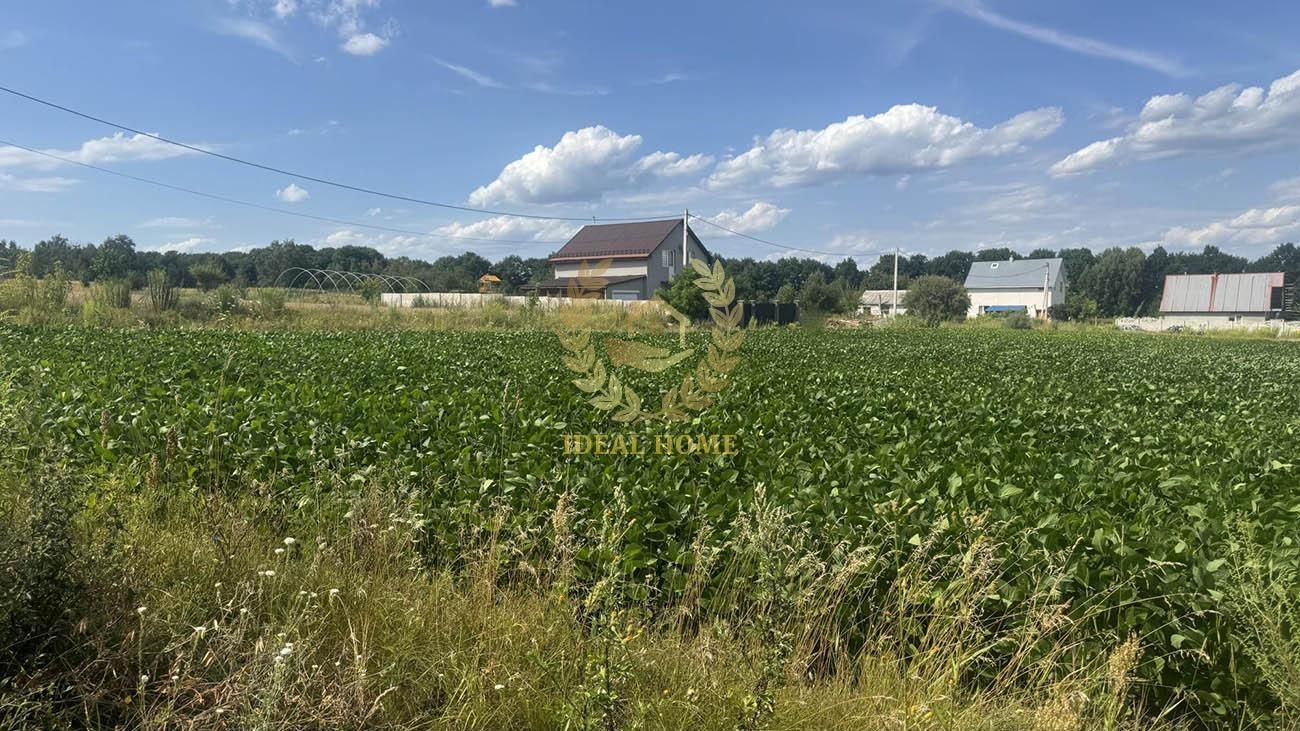 Продам земельну ділянку в Ч. Мотовилівці