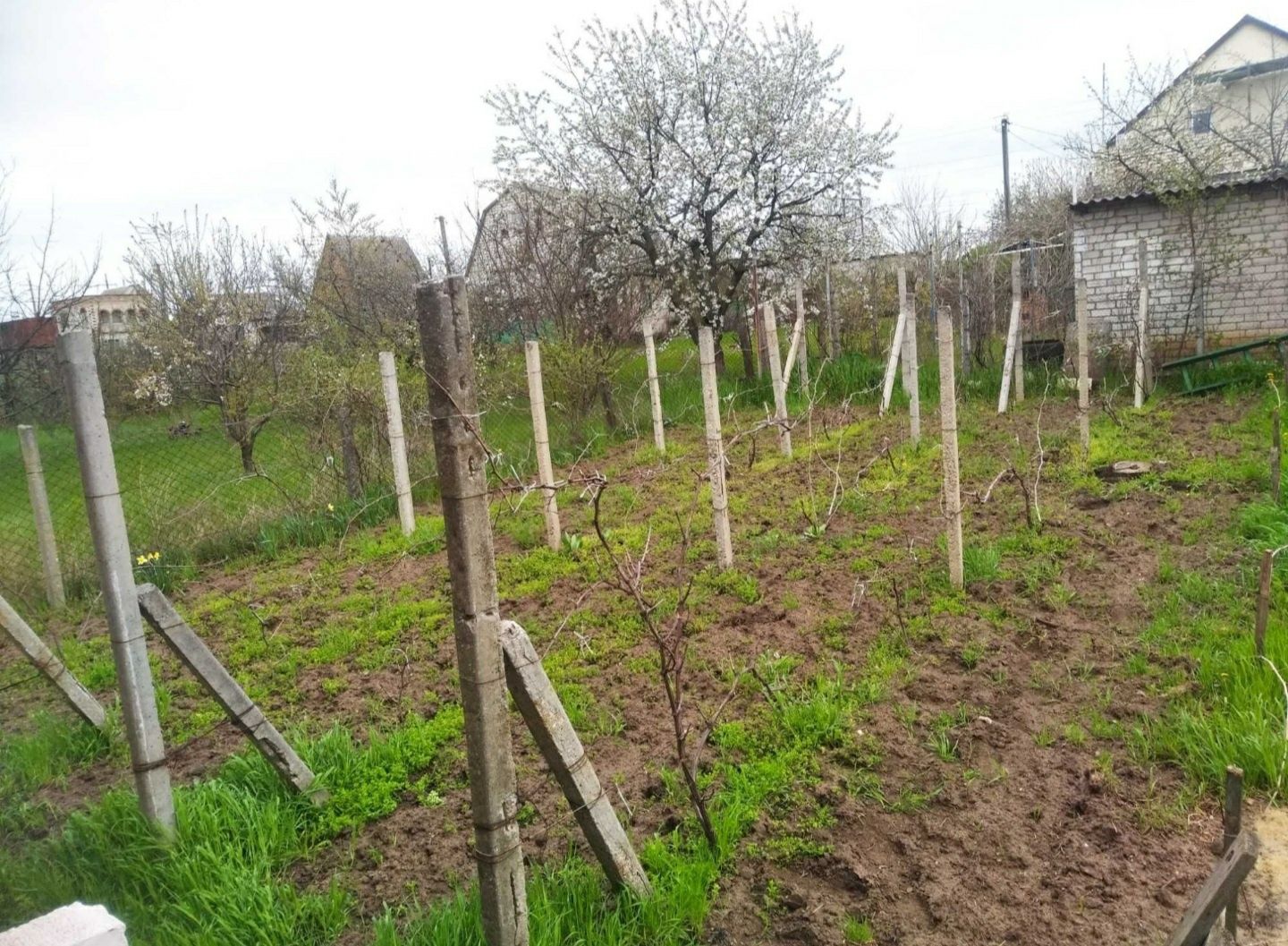 Дача - Михайло Ларино. Возле  Пересадовки.