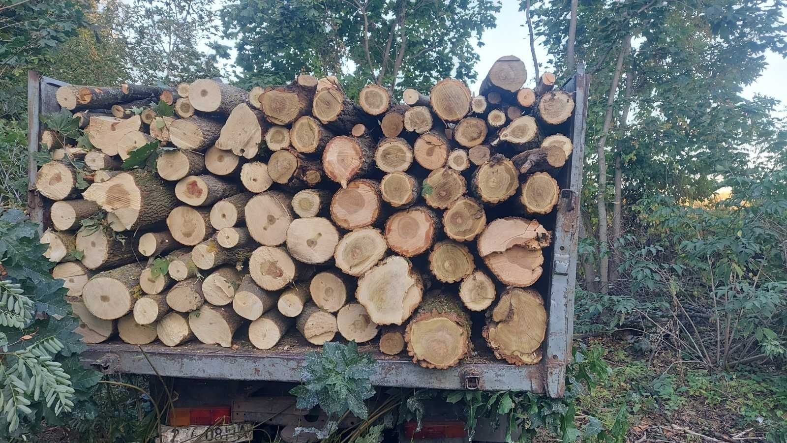 Дрова распродажа по оптовым ценам