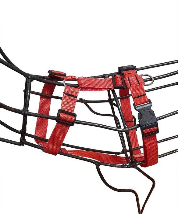 Szelki dla Psa Guard I Sunka Basic M-L