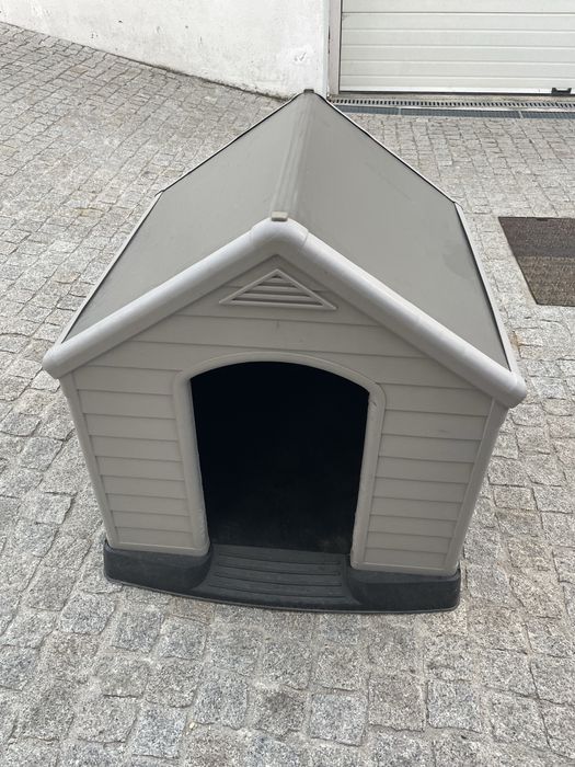 Casota cão em bom estado