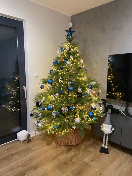 Choinka sztuczna swierk pospolity 100% pe wyglada jak zywa