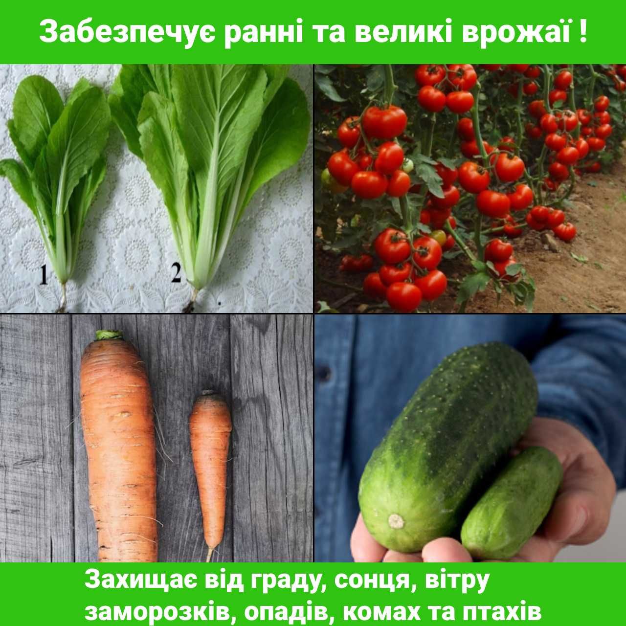 АКЦІЯ ДУБНО! Теплиця від Виробника, теплица 3х4, 3х6, 3х8, 4х8, 4х6м!