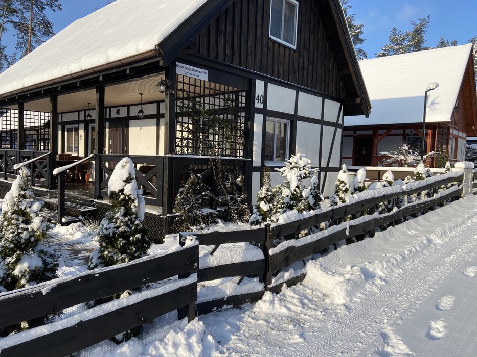 Domek do wynajęcia z duża działką