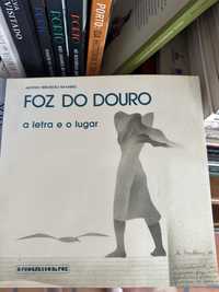 António rebordao Navarro - Foz do douro: a letra e o lugar