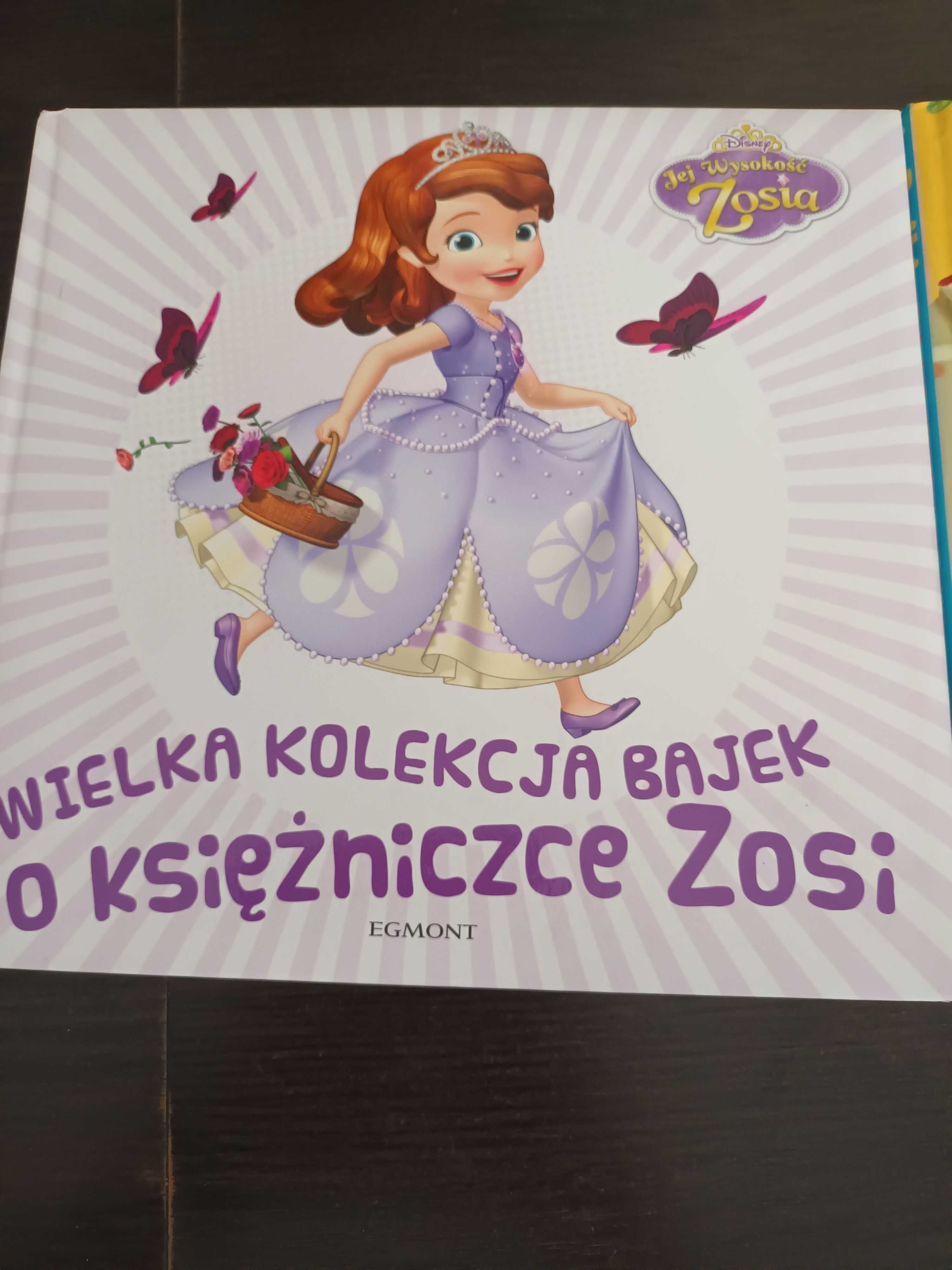 Księżniczka Zosia i bajki o księżniczkach