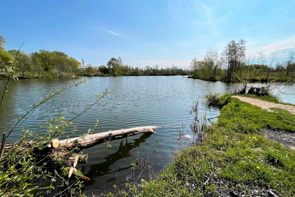 Wydzierżawie STAW/JEZIORO