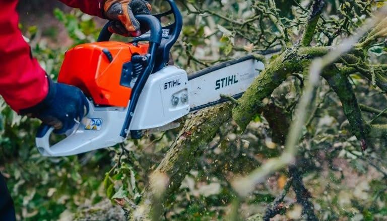 Wycinka drzew,koszenie pracę porządkowe