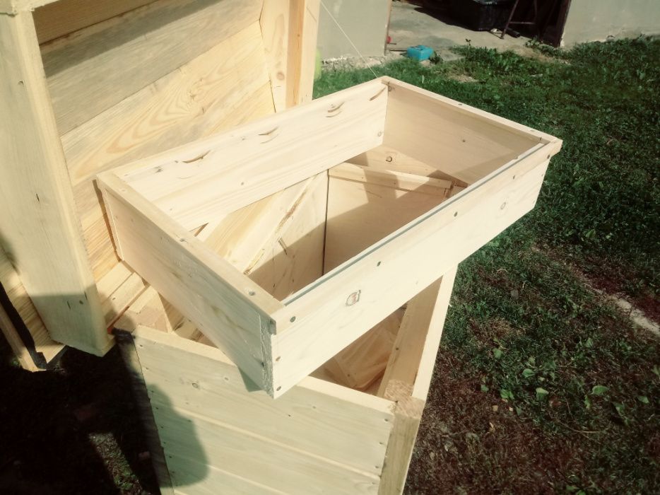 Ule pszczele warszawskie