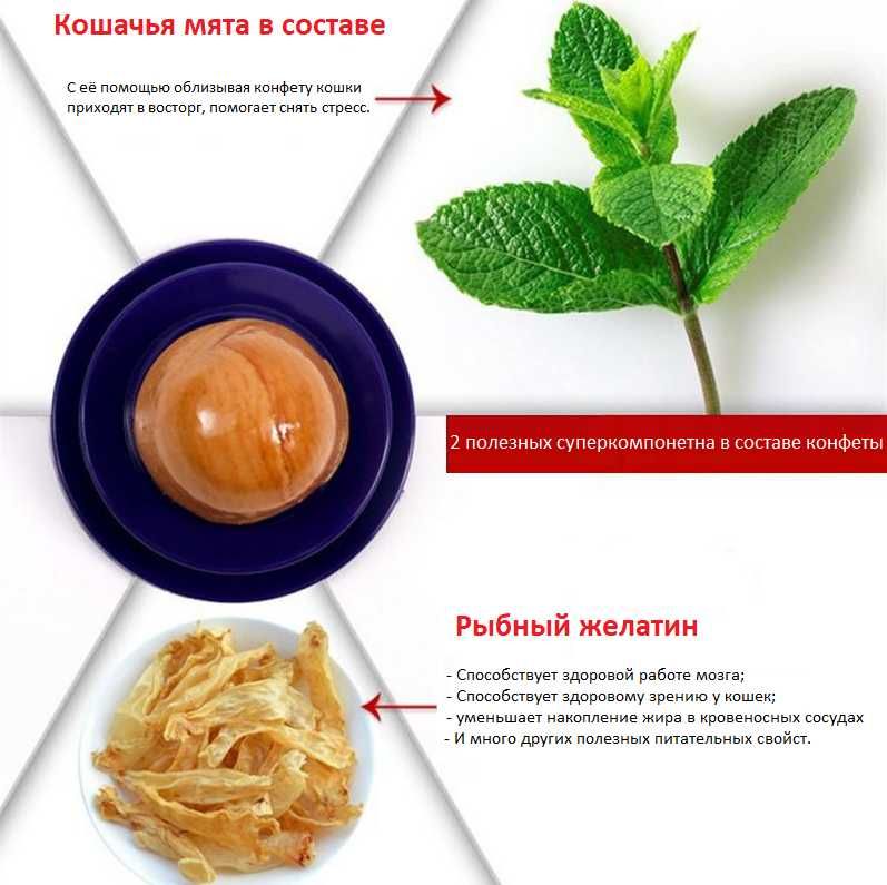 Конфета-приманка для кошек/палочки для чистки зубов (полезный состав)