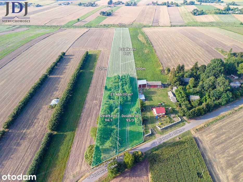 Sześć działek  o łącznej powierzchni 2.5 ha.