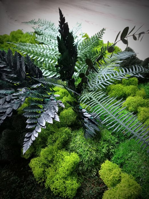 Obraz z mchem ozdoba do firm biur rośliny biurowe mech stabilizowany