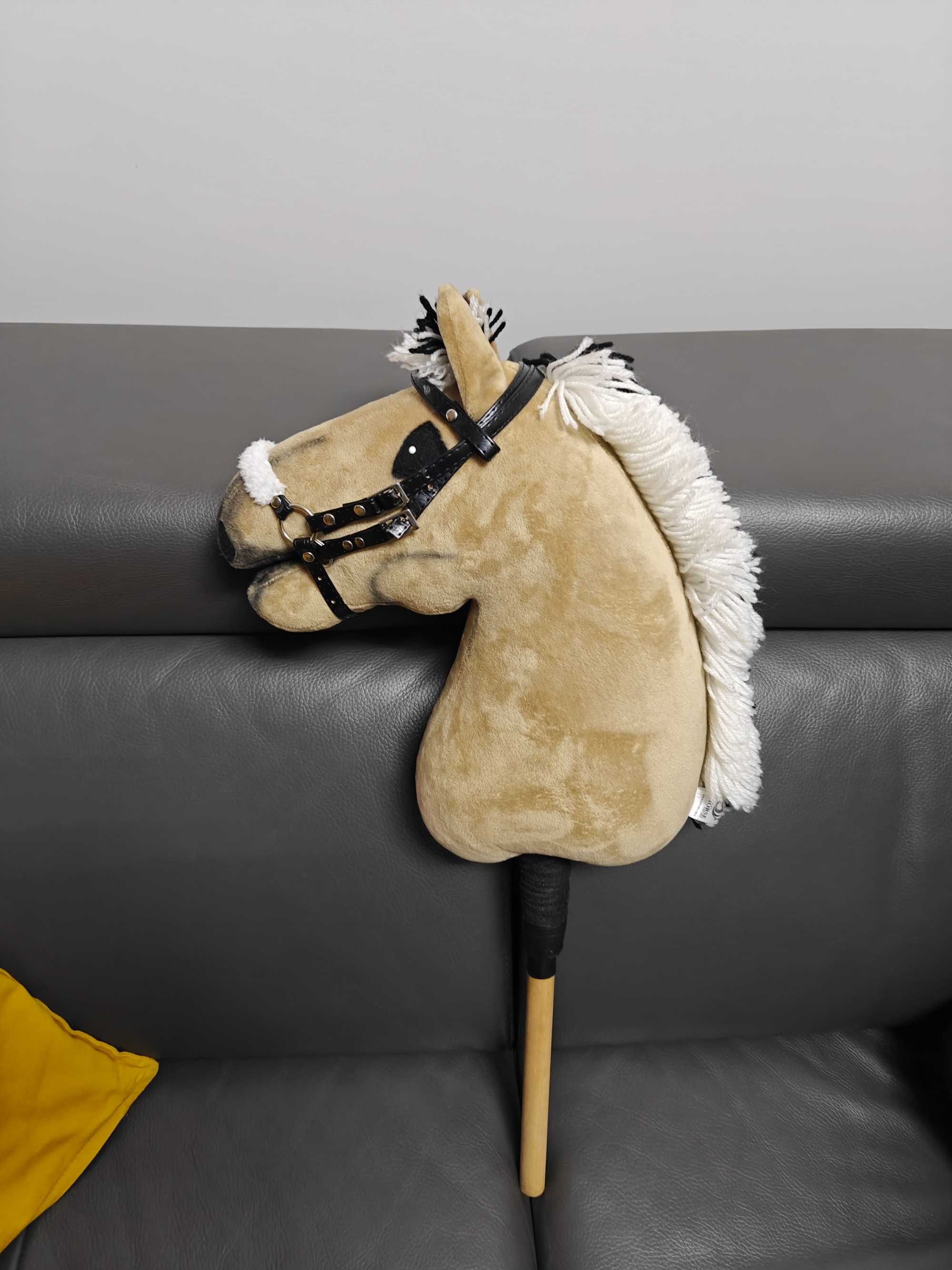 Hobby Horse Fiord + ogłowie