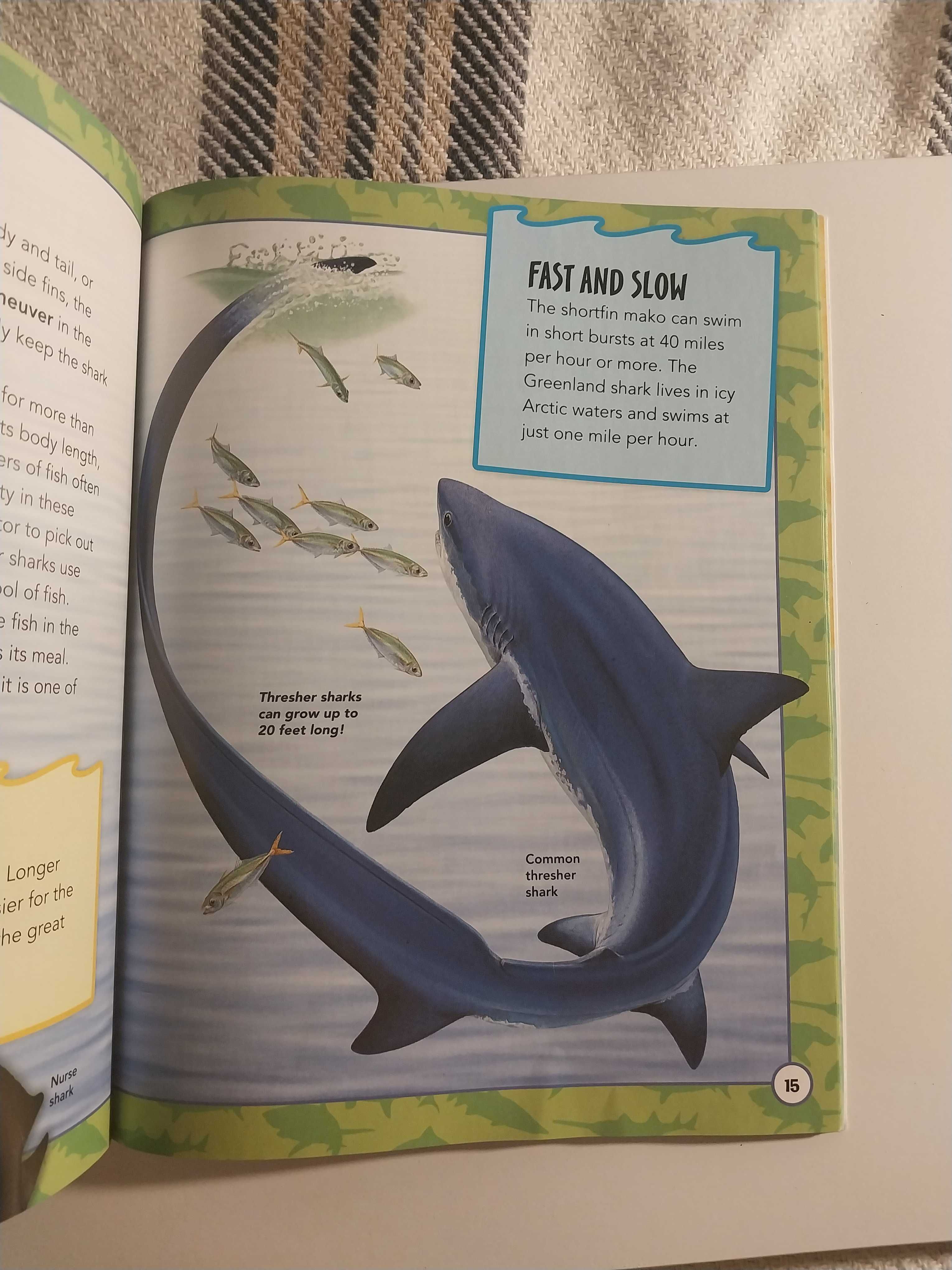 книга для детей и взрослых на английском Amazing world of sharks