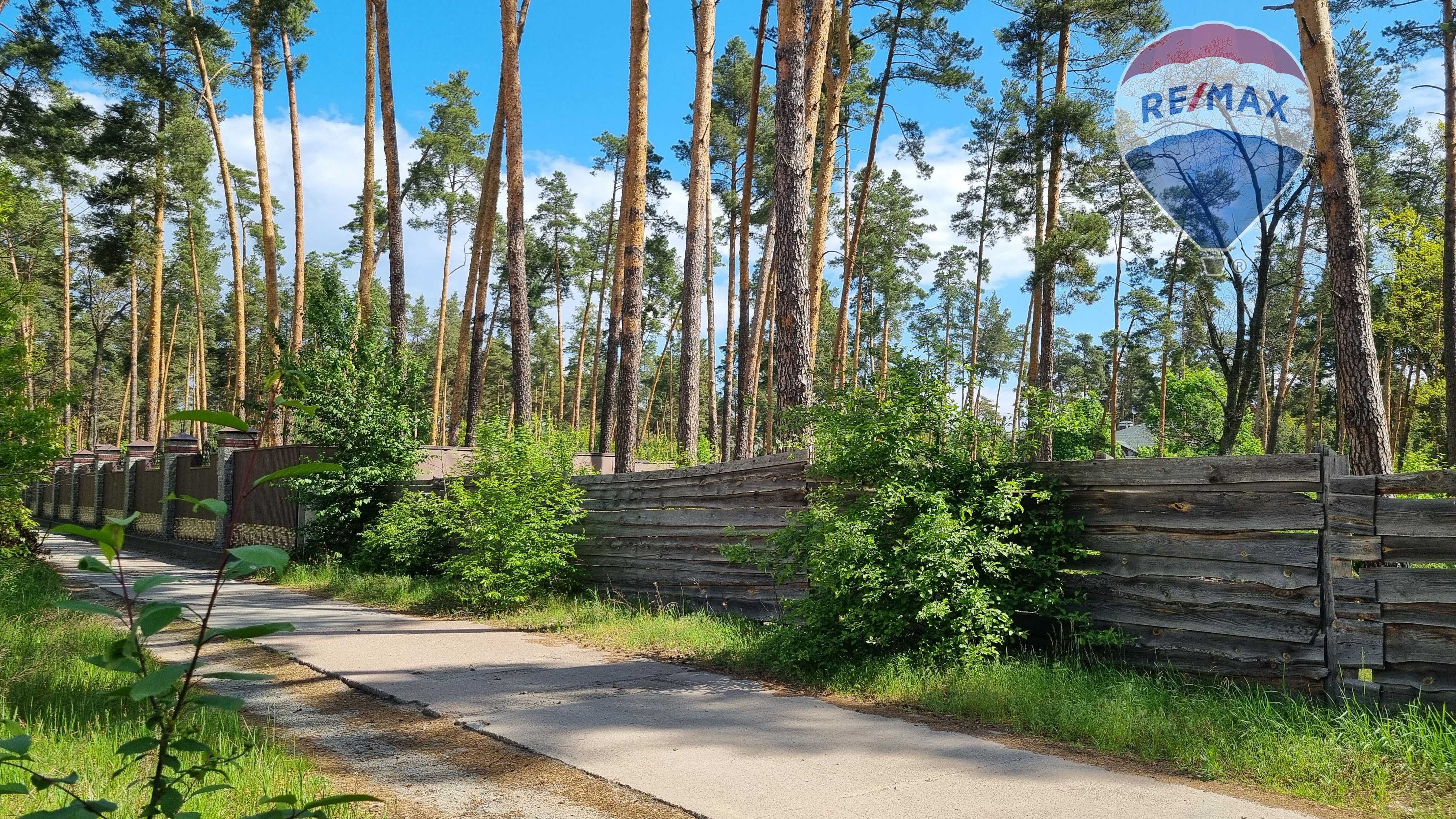 Продаж ділянки 1,71 га (колишній дитячий табір) с. Лютіж, сосни, річка