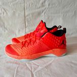 кросівки Air Jordan Extra Fly (р. 47,5)  31 см