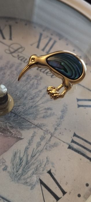Vintage broszka ptak kiwi muszla Abalone
