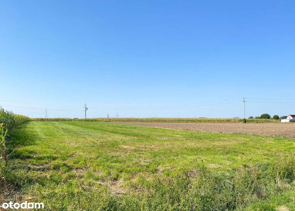 Działka budowlana pod Kościanem na sprzedaż