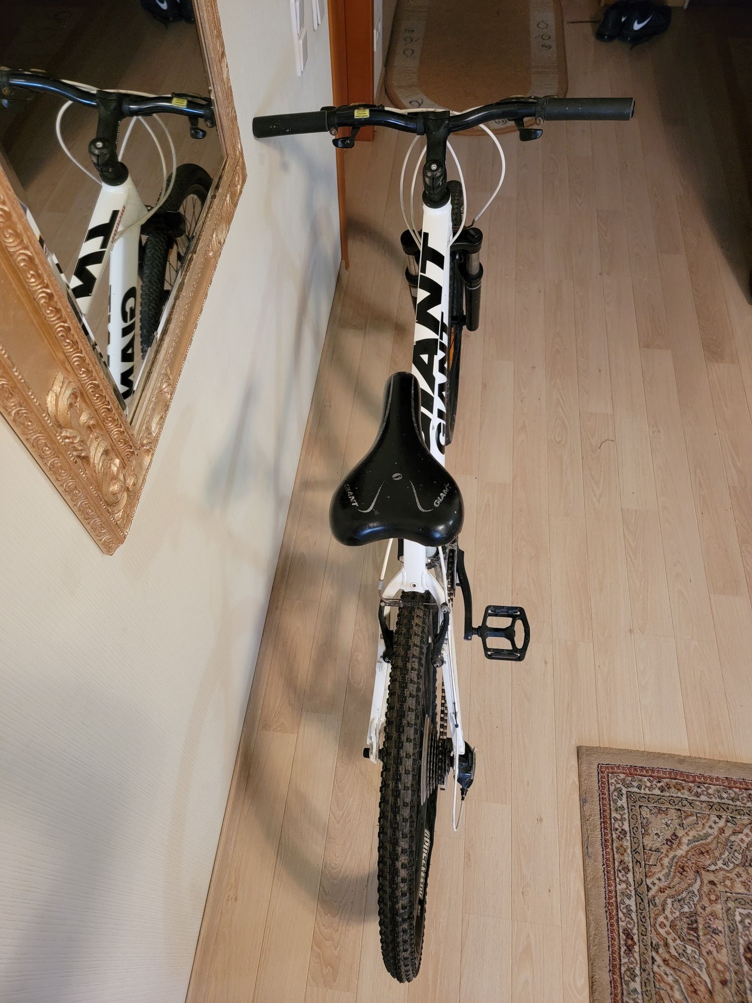 Giant Rincon aluxx sl 6000