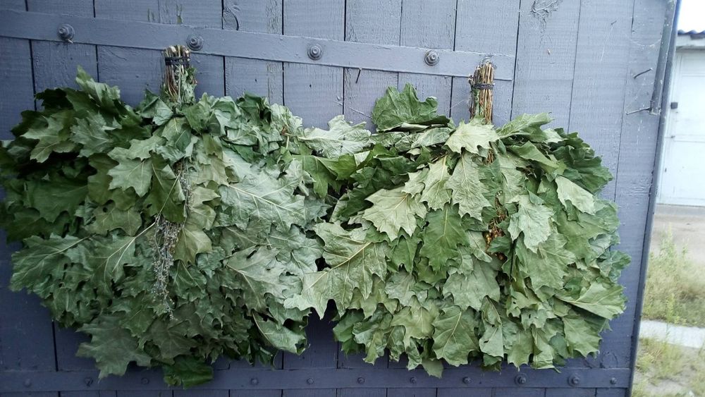 Банние веники,віники для бані,сауни.,банні віники.