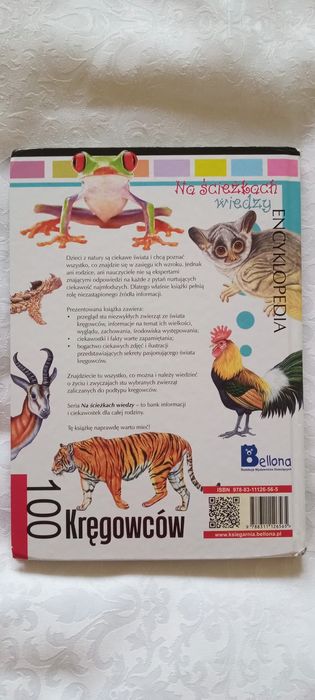 zestaw, encyklopedie, zwierząt, 2 szt, zwierzęta, życie, kręgowce