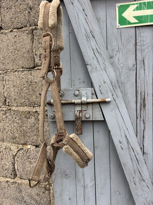 Kantar FULL do ciurania