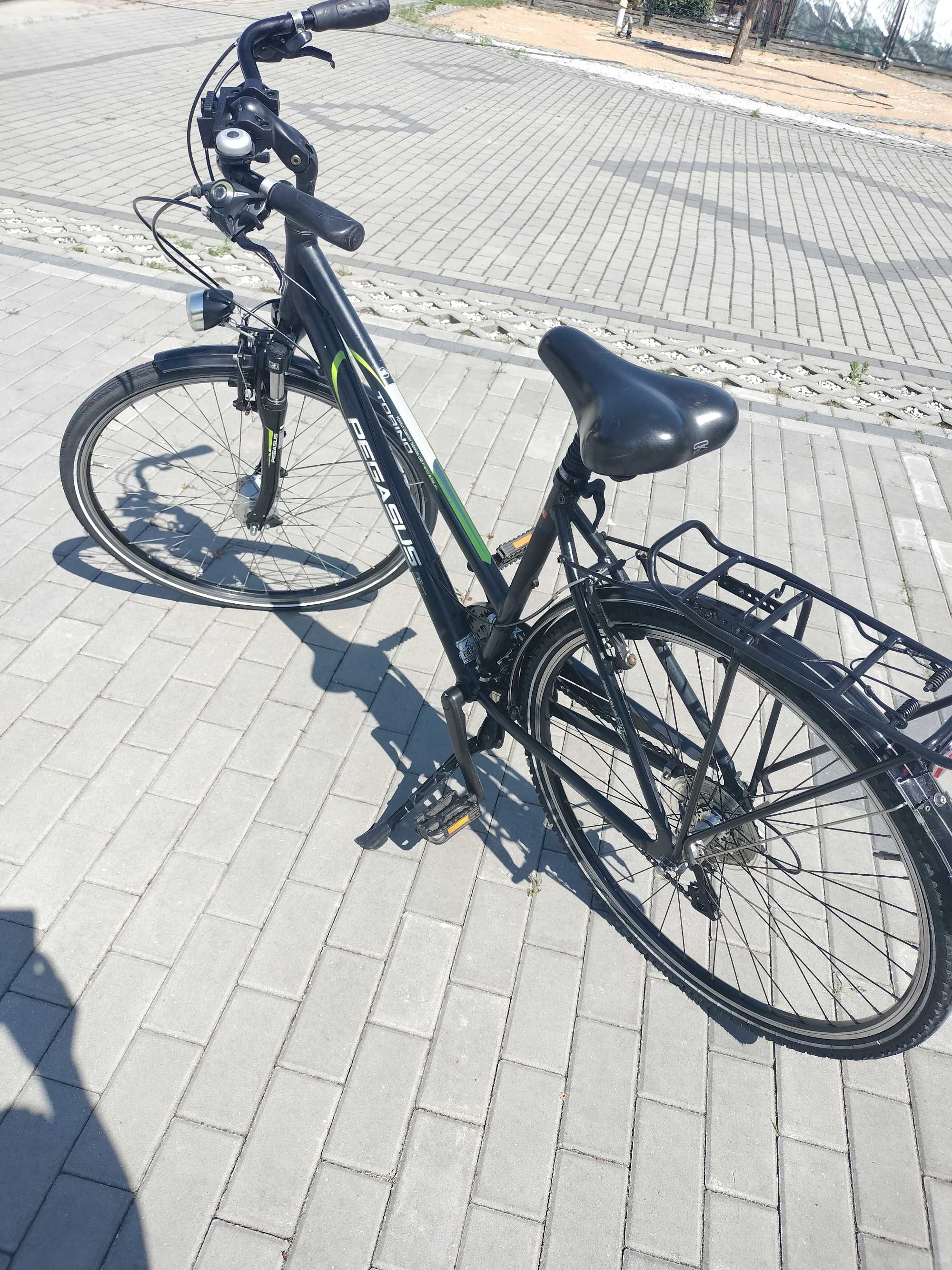 Rower Pegasus Torino