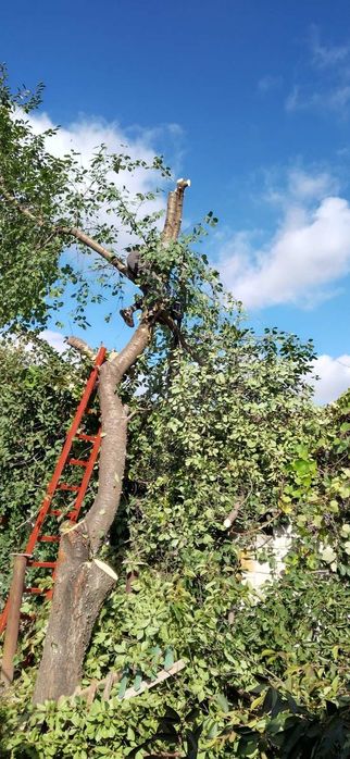 Спил деревьев уборка участка
