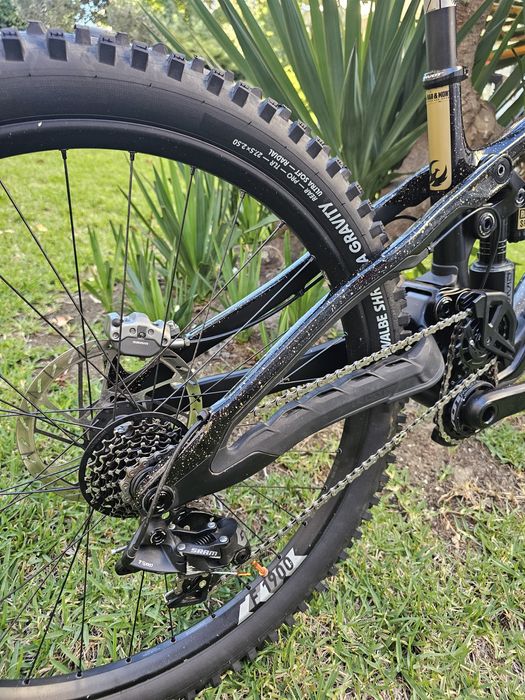 Pivot phenix 2025