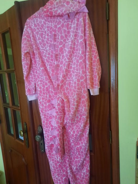 Pijama polar ou fato carnaval