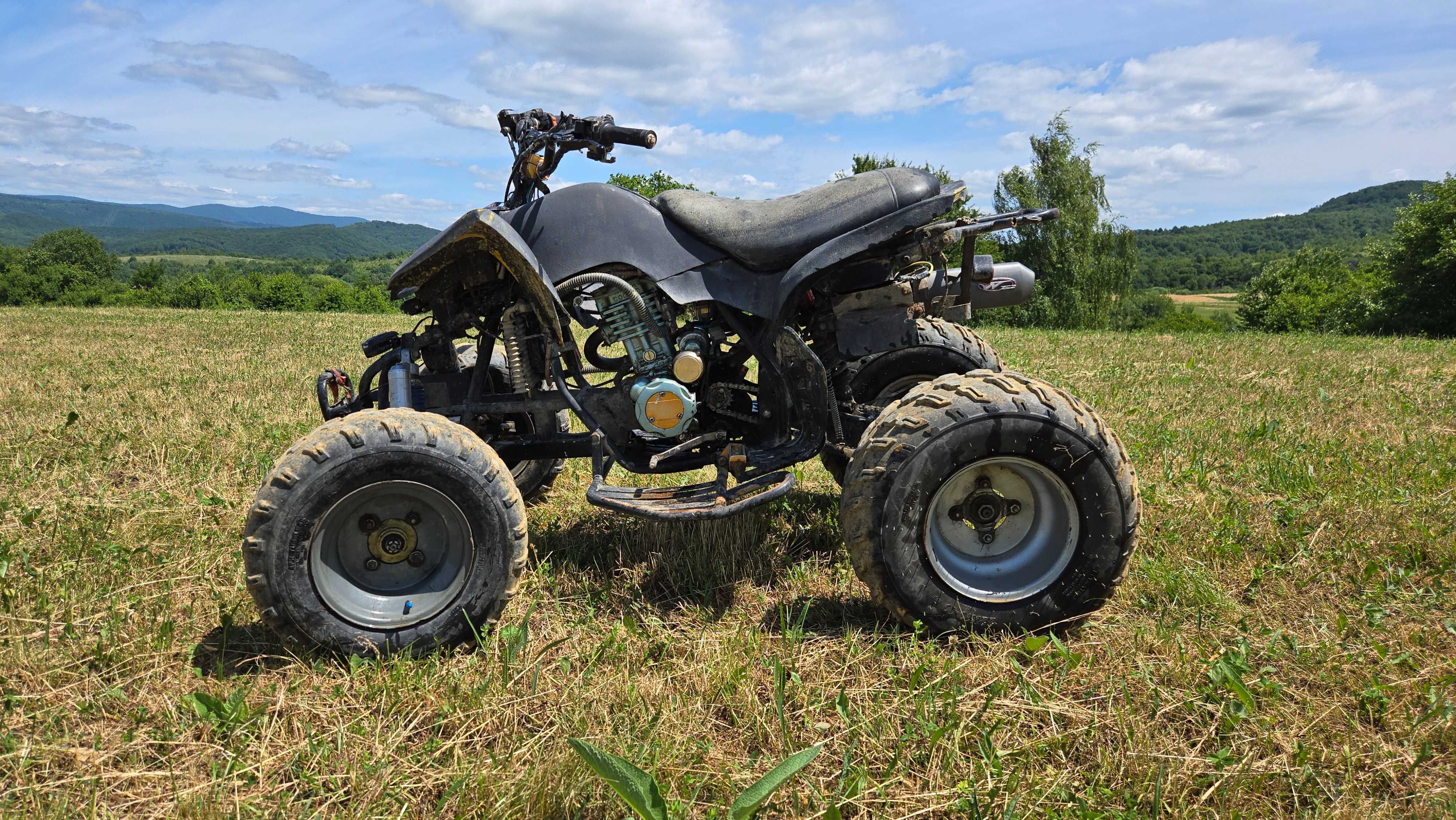 Квадроцикл bashan bs200s-7