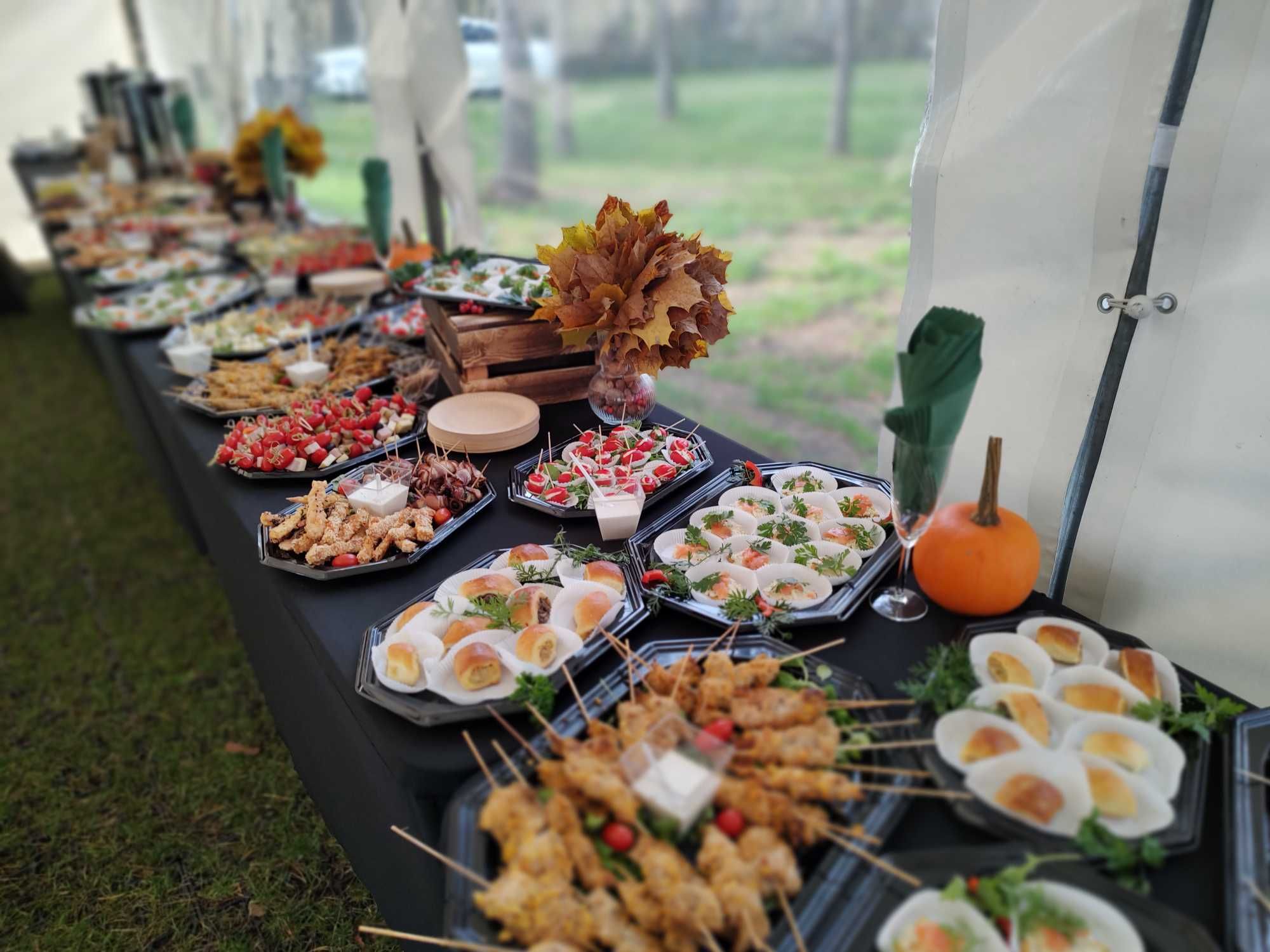 Catering okolicznościowy, grillowy, wynajem namiotów, dmuchańce.