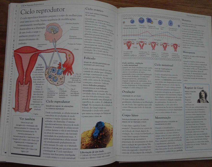 Dicionário Escolar do Corpo Humano
