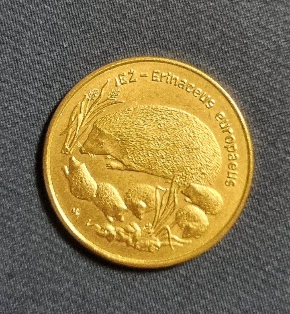 Stare monety / moneta kopia 2 zł 1996 Jeże