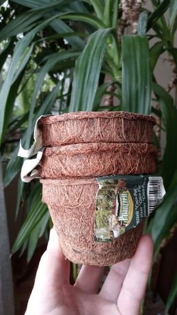 горщики з кокосового волокна, кокосове волокно орхидея